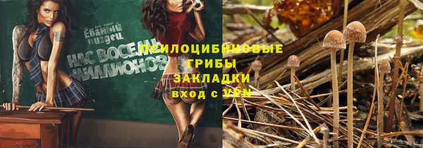 2c-b Елизово