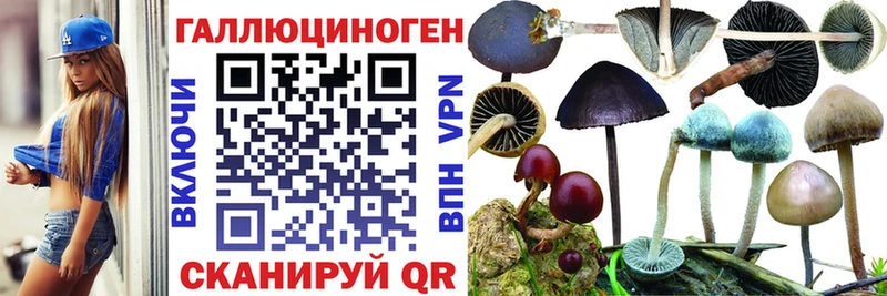 Купить закладки  Тайшет  Галлюциногенные грибы мицелий 